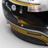 1522 Adrian Sutil and Giancarlo Fisichella F1 Helmets