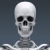 2605 Human Skeleton