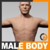 Human Male Body - Anatomy