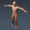 3282 Human Male Body Anatomy