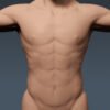 3287 Human Male Body Anatomy