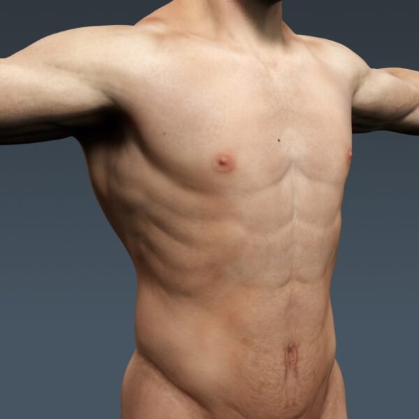 3694 Human Male Body and Respiratory System Textured Anatomy