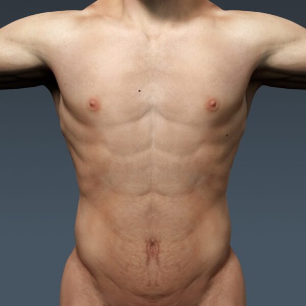 4047 Human Male Body and Digestive System Textured Anatomy