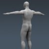 4060 Human Male Body and Digestive System Textured Anatomy