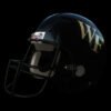 423 NCAA Football Helmets Pack