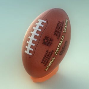 532 NFL Official Game Ball