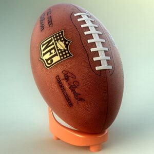 533 NFL Official Game Ball