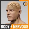 BodyNervous th001