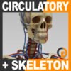 CircSkeleton th001