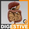 Digestive th001