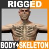 RiggedBodySkel th001