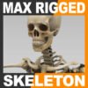 SkeletonMaxRigged th001