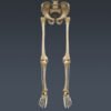 SkeletonMaxRigged th013