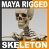 SkeletonMayaRigged th001