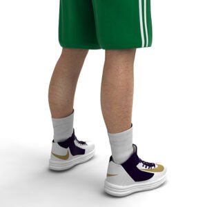 CelticsRigged th010