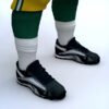 PackersPlayer th010