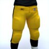 SteelersPlayer th009